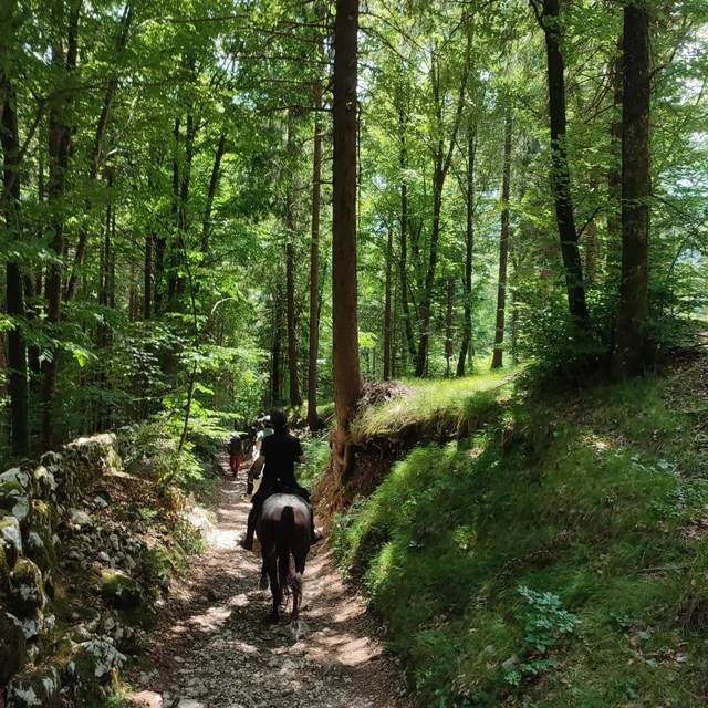 Passeggiata a cavallo con pranzo in rifugio Passeggiata a cavallo con pranzo in rifugio